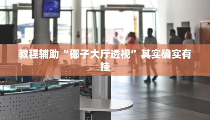 教程辅助“椰子大厅透视”其实确实有挂 教程辅助“椰子大厅透视”其实确实有挂