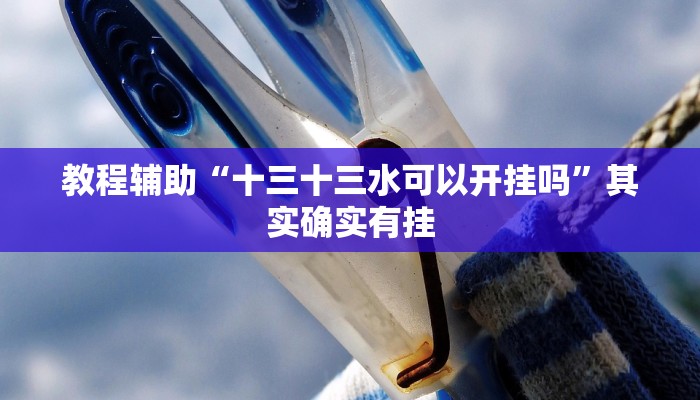 教程辅助“十三十三水可以开挂吗”其实确实有挂