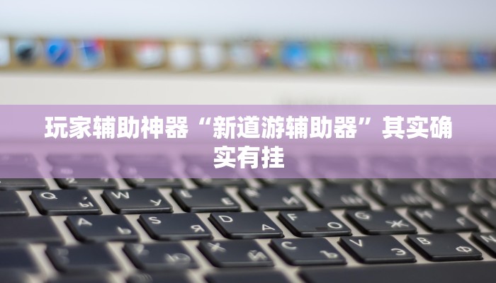 玩家辅助神器“新道游辅助器”其实确实有挂 玩家辅助神器“新道游辅助器”其实确实有挂