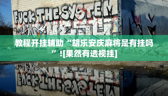 教程开挂辅助“胡乐安庆麻将是有挂吗”![果然有透视挂]