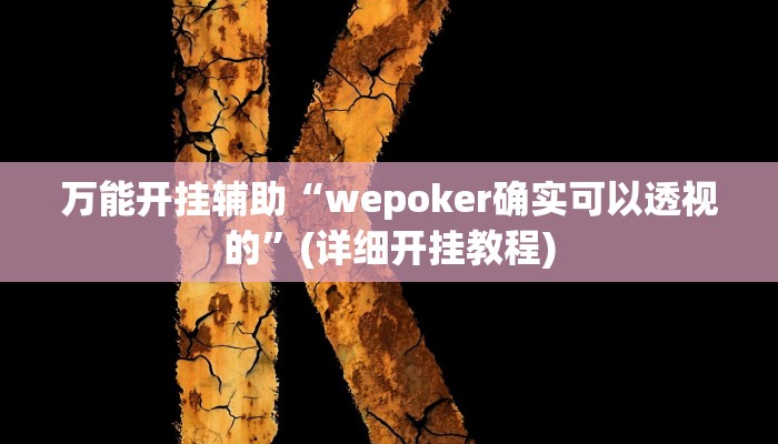 万能开挂辅助“wepoker确实可以透视的”(详细开挂教程)
