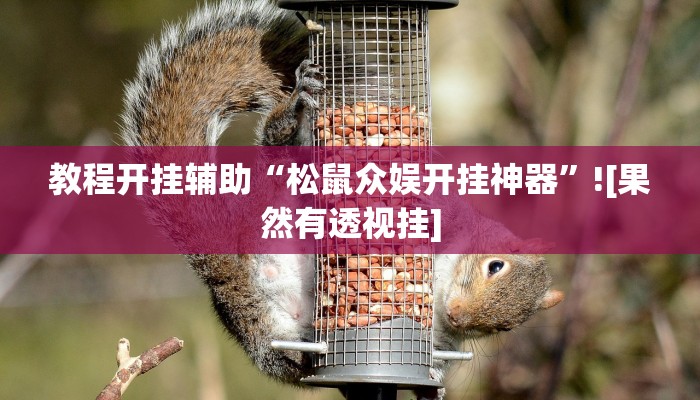 教程开挂辅助“松鼠众娱开挂神器”![果然有透视挂]