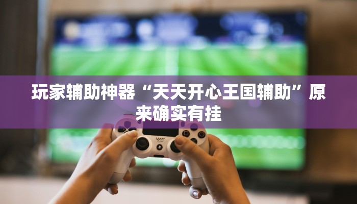 玩家辅助神器“天天开心王国辅助”原来确实有挂