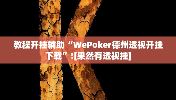 教程开挂辅助“WePoker德州透视开挂下载”![果然有透视挂]