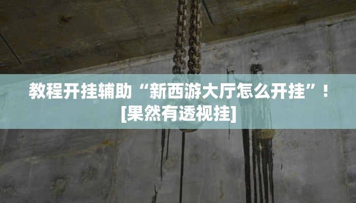 教程开挂辅助“新西游大厅怎么开挂”![果然有透视挂]