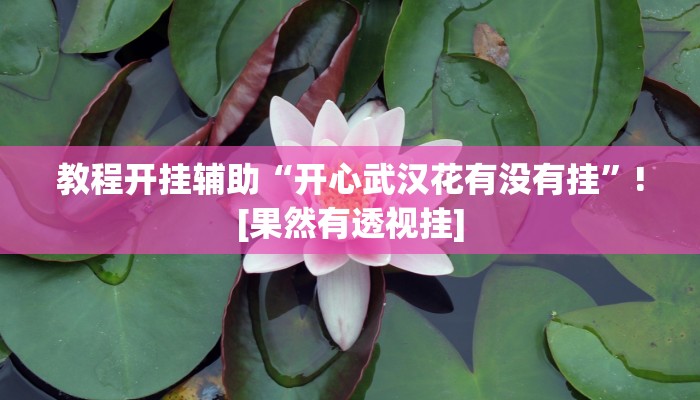 教程开挂辅助“开心武汉花有没有挂”![果然有透视挂]