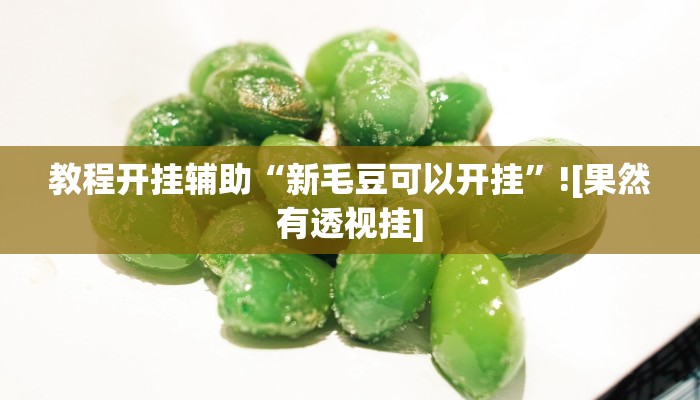 教程开挂辅助“新毛豆可以开挂”![果然有透视挂]