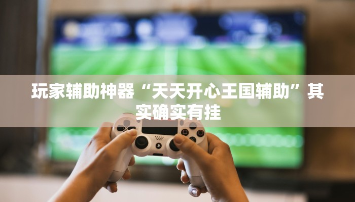 玩家辅助神器“天天开心王国辅助”其实确实有挂 玩家辅助神器“天天开心王国辅助”其实确实有挂