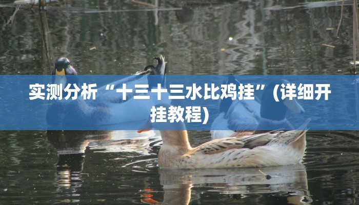实测分析“十三十三水比鸡挂”(详细开挂教程)