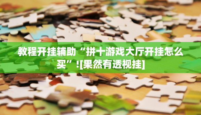 教程开挂辅助“拼十游戏大厅开挂怎么买”![果然有透视挂]