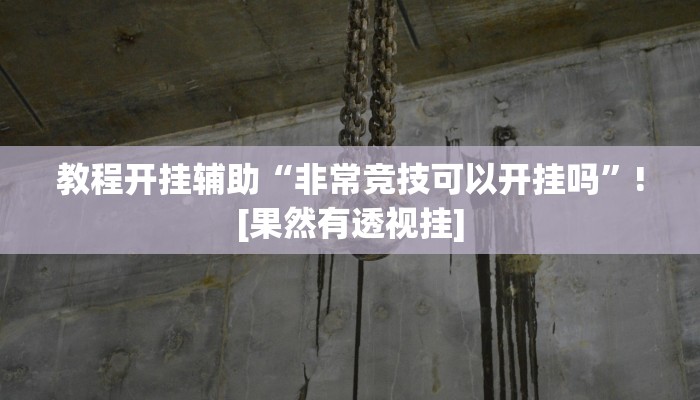 教程开挂辅助“非常竞技可以开挂吗”![果然有透视挂]