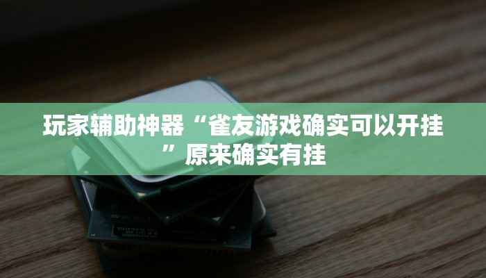玩家辅助神器“雀友游戏确实可以开挂”原来确实有挂