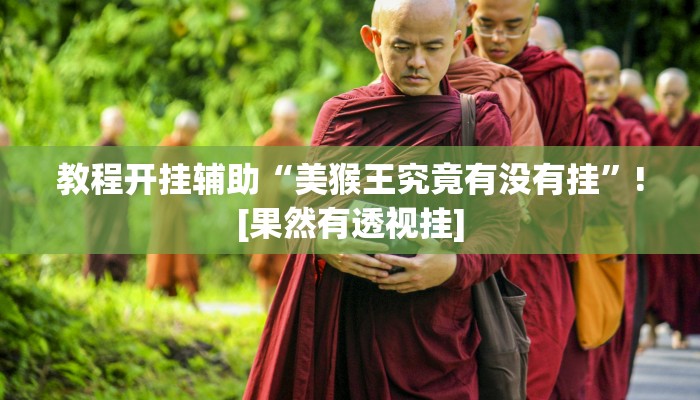 教程开挂辅助“美猴王究竟有没有挂”![果然有透视挂]