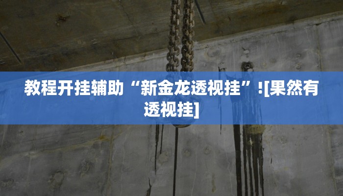 教程开挂辅助“新金龙透视挂”![果然有透视挂]