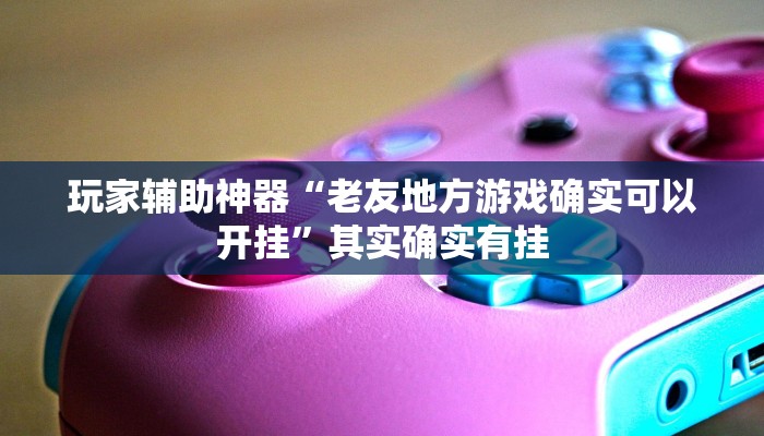 玩家辅助神器“老友地方游戏确实可以开挂”其实确实有挂