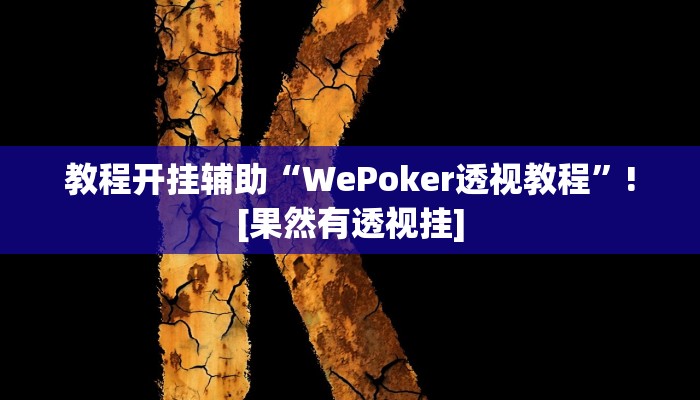 教程开挂辅助“WePoker透视教程”![果然有透视挂]