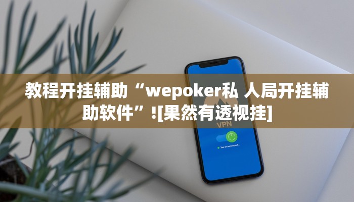 教程开挂辅助“wepoker私 人局开挂辅助软件”![果然有透视挂]