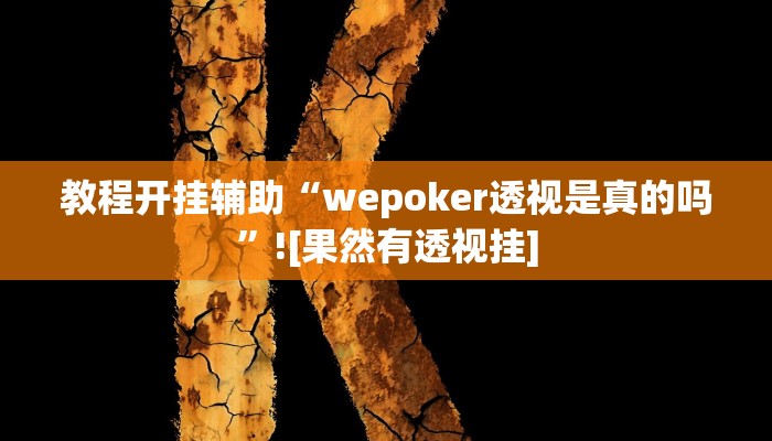 教程开挂辅助“wepoker透视是真的吗”![果然有透视挂]