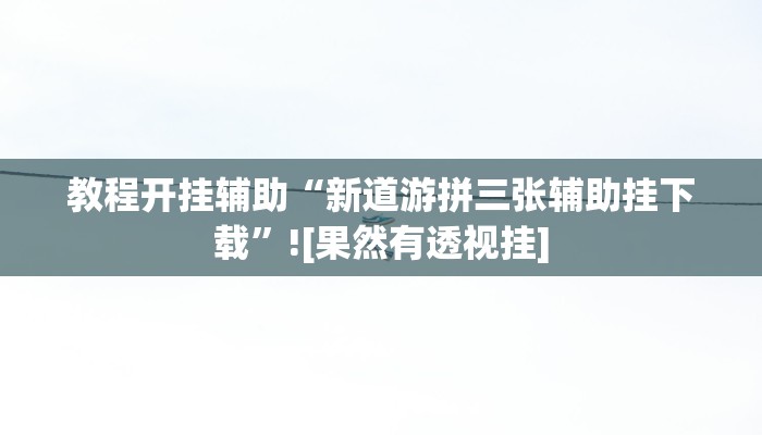 教程开挂辅助“新道游拼三张辅助挂下载”![果然有透视挂]