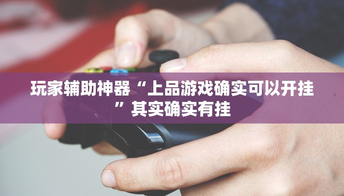 玩家辅助神器“上品游戏确实可以开挂”其实确实有挂