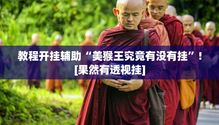 教程开挂辅助“美猴王究竟有没有挂”![果然有透视挂]