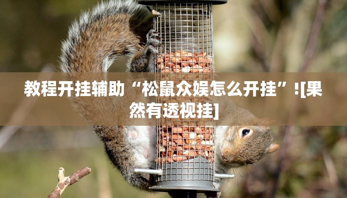 教程开挂辅助“松鼠众娱怎么开挂”![果然有透视挂]