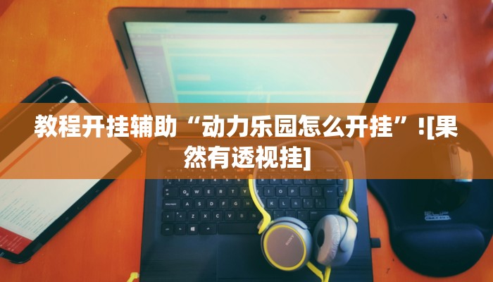 教程开挂辅助“动力乐园怎么开挂”![果然有透视挂]