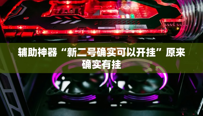 辅助神器“新二号确实可以开挂”原来确实有挂