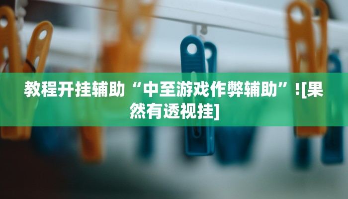 教程开挂辅助“中至游戏作弊辅助”![果然有透视挂]
