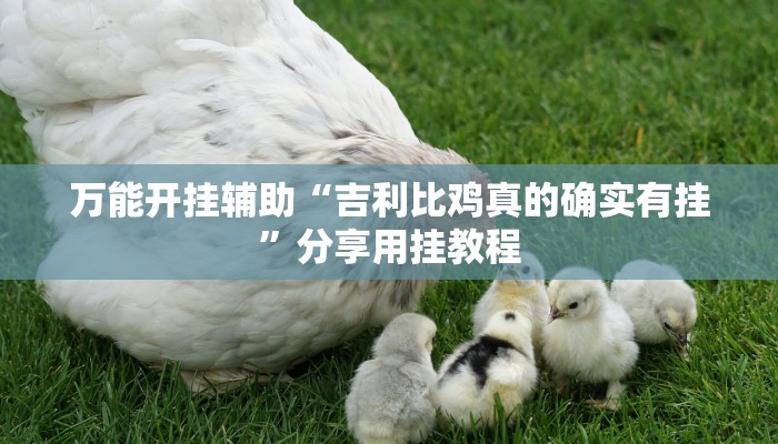 万能开挂辅助“吉利比鸡真的确实有挂”分享用挂教程 万能开挂辅助“吉利比鸡真的确实有挂”分享用挂教程